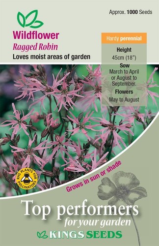 Kings seeds flower wild - kings,