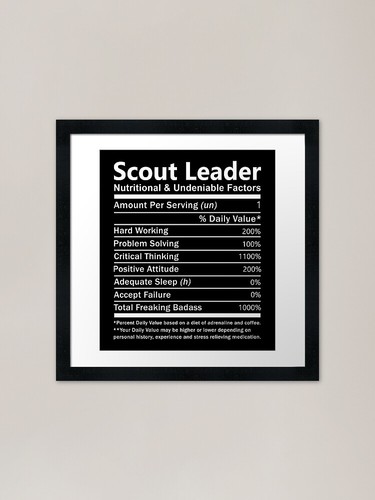 Scout leader shirt - t,