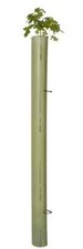 Tubex 1.2m (4ft) Standard Tree Tube Shelter Hedge Protection Guard - Multi Pack