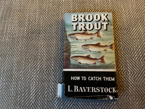 Brook trout how catch them - how, to