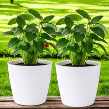 White Plastic Plant Pots Pack
