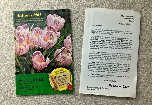 1964 hortico bulb seed - hortico,