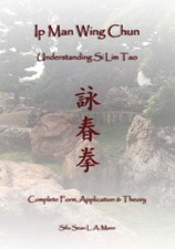Ip Man Wing Chun