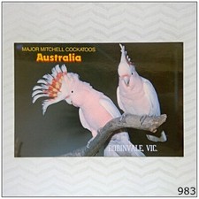 Major Mitchell Cockatoos