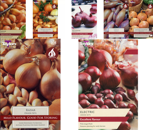 250g onion shallot sets - 250g,