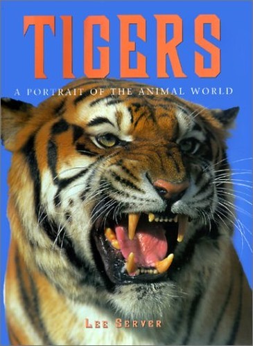 Tigers todtri portrait - tigers, (todtri