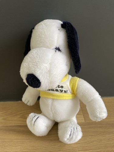Vintage snoopy wearing hate - vintage, "i