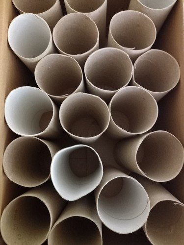 Empty cardboard toilet roll - toilet,