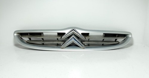 9636012877 front grille