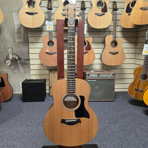 Taylor mini rosewood - taylor,