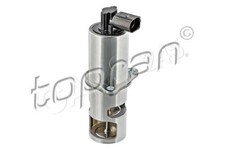 EGR Valve Exhaust Gas