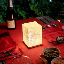 Omniance Delphine Rechargeable