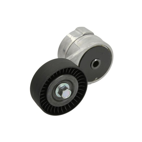 Multi belt tensioner - belt,