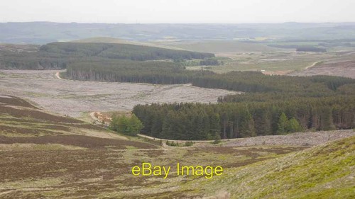 Photo 6x4 forestry work - 6x4,