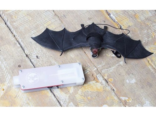 Bat listener diy kit - listener,