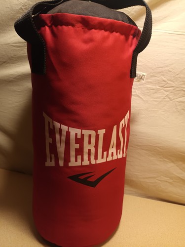 Everlast punch bag 10kg - everlast,