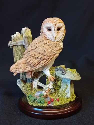Country artists barn owl - artists, with