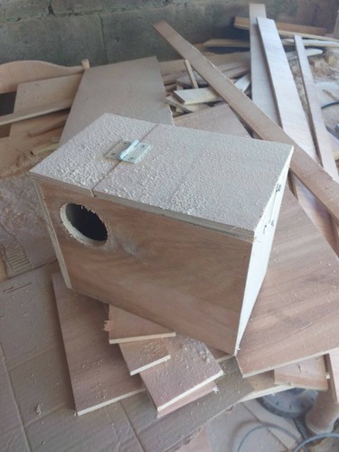 Budgie nest boxes - boxes, opening