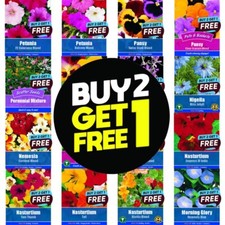 Flower Seeds UK Grow Your Own Outdoor Plants Borders | Over 81 varieties