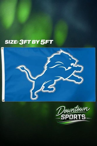 Detroit lions nfl team flag - lions,
