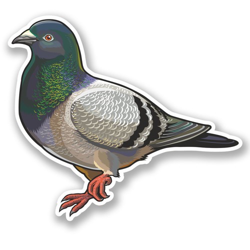 Pigeon vinyl sticker - 2, ipad