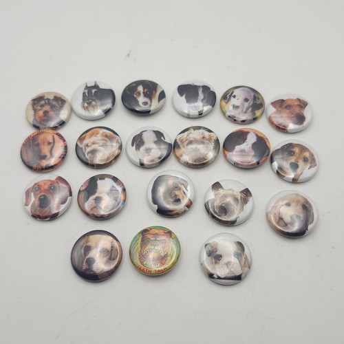 Lot assorted dog breed - 20,
