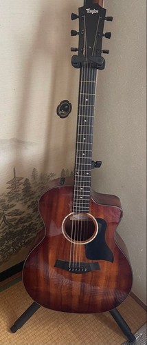 Taylor 224ce dlx acoustic - taylor, 224ce-k