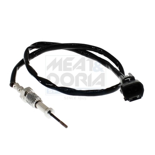 Exhaust gas temperature - gas, sensor