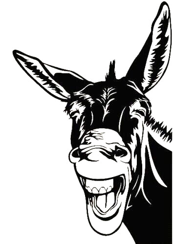 Extra large donkey head - large,