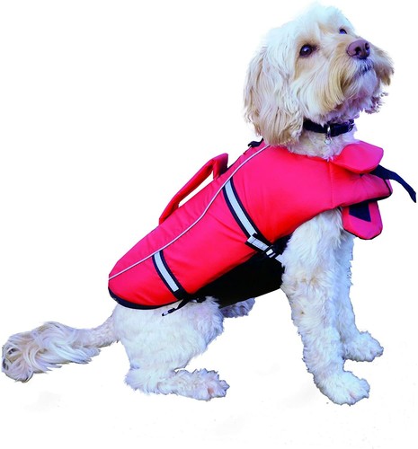 Rosewood swim easy dog - easy,