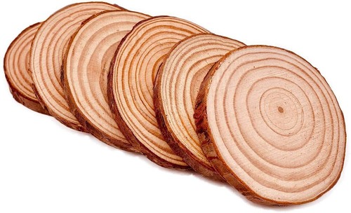 120 200 wooden - slices, 4-
