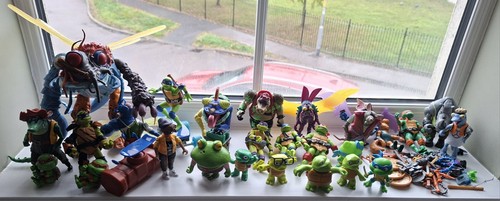 Teenage mutant ninja turtles - ninja,