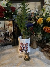 Cactus tree houseplant a - in,