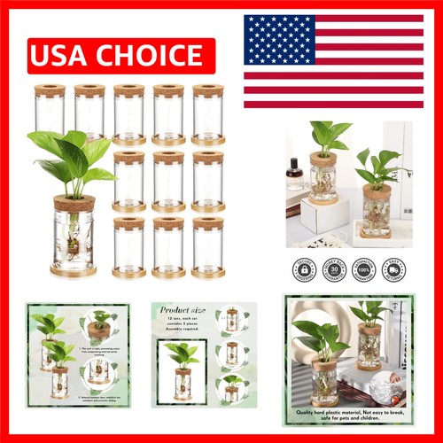 Classic count plant vases - classic,