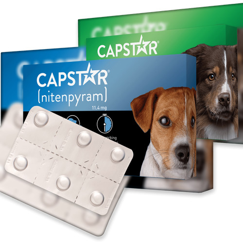 Capstar dog cat flea tablets - dog,