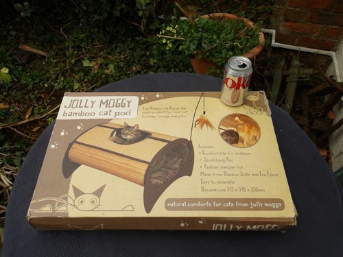 Jolly moggy bamboo cat - moggy, pod