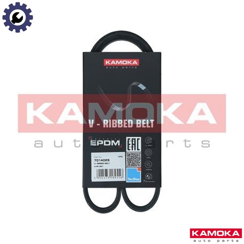 Vribbed belt 7014029 for - 7014029, vw