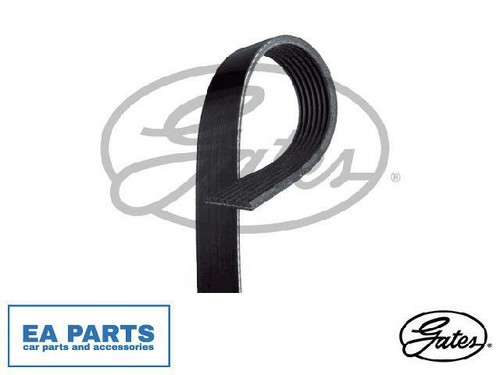 Ribbed belts for - v-ribbed,