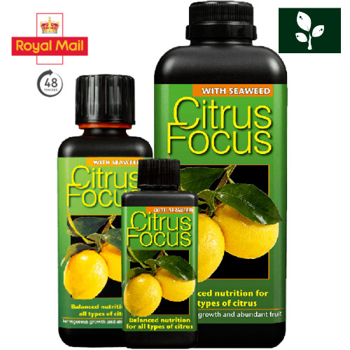 Growth technology citrus - growth, focus