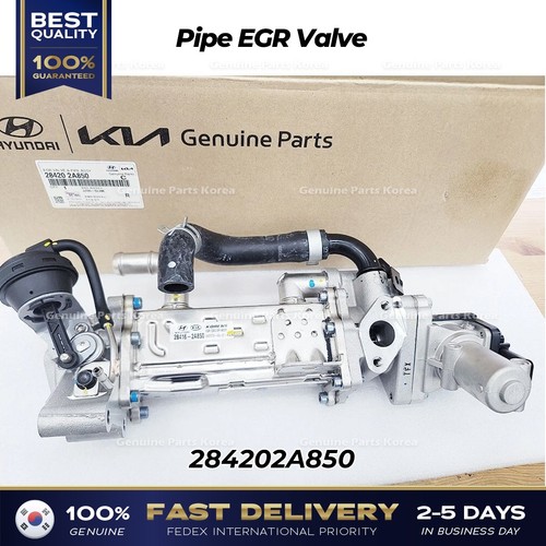 Genuine pipe egr valve - ⭐genuine⭐,