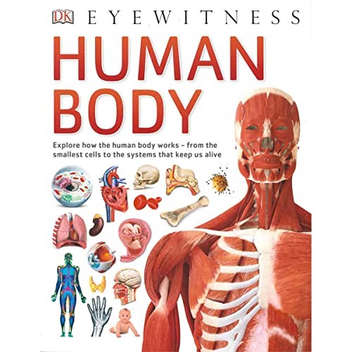 Eyewitness human body - -, body,