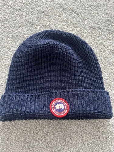 Canada goose arctic - arctic, disc