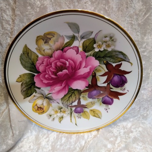 English plate edwardian fine - plate,