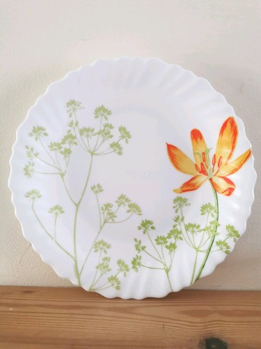 Pretty side plates luminarc - pretty,