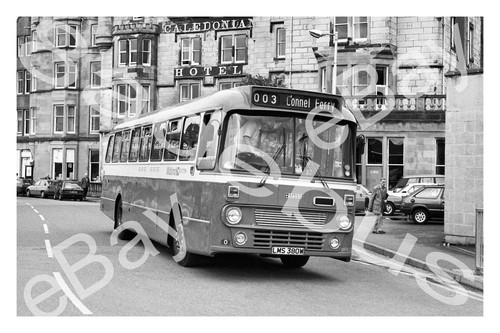 Bus photograph midland - photograph,
