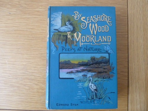 Seashore wood moorland - wood,