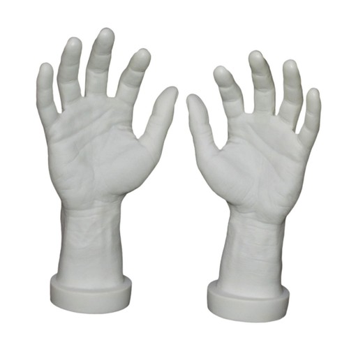 Hand model fake human - 2x,