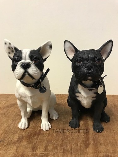 Large sitting black - and, white