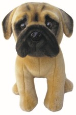 12" Bullmastiff teddy English