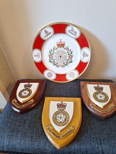 Rare yorkshire volunteers 25th - yorkshire,